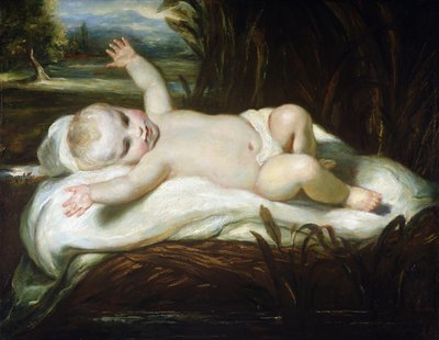 Moses in the Bullrushes by Joshua Reynolds